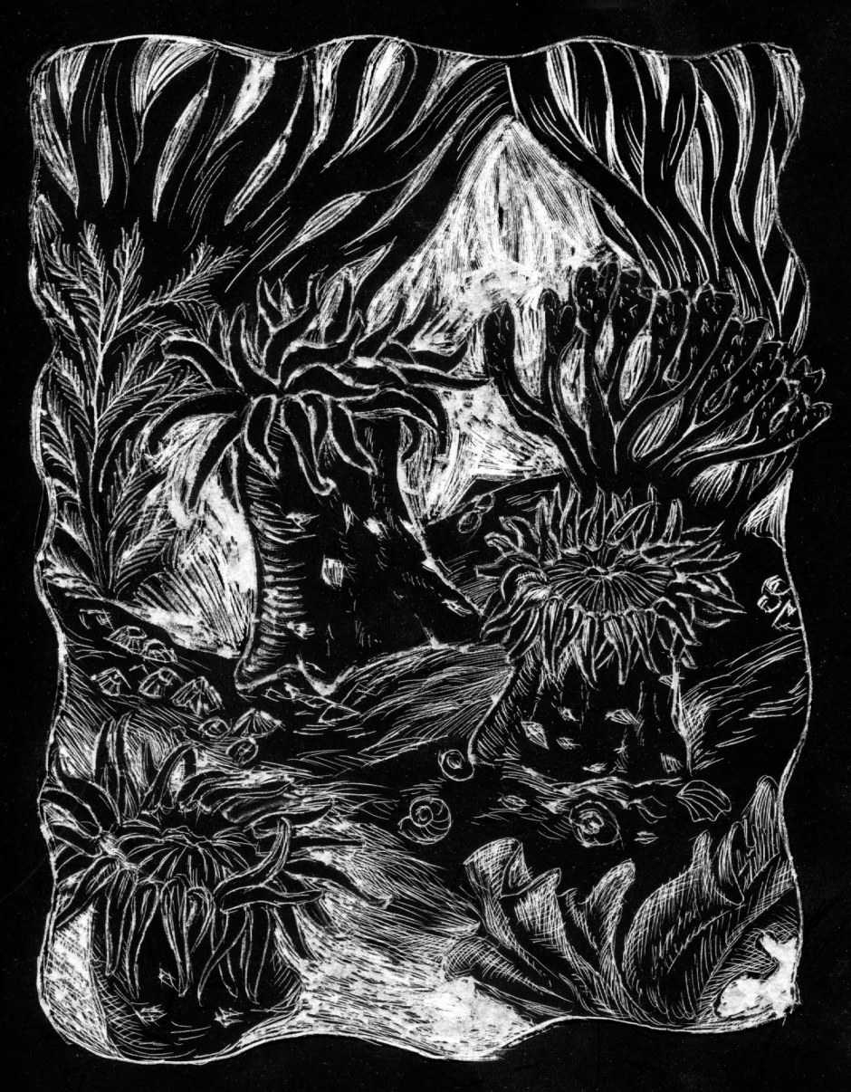 scratchoboard sea.jpg